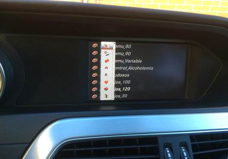 audi robser