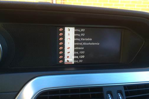 audi robser