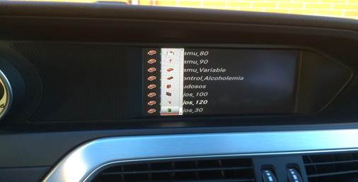 audi robser